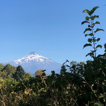 Lake and Volcano District from the Chile Bike Tour