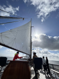 Netherlands Tulip Sail and Cycle Wapen Fan Fryslan sailing into the sun