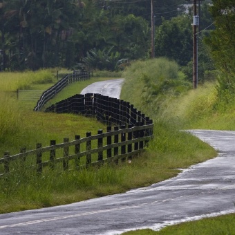 Bike path during Hawaii Bike Tour